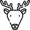 Wild_Icon