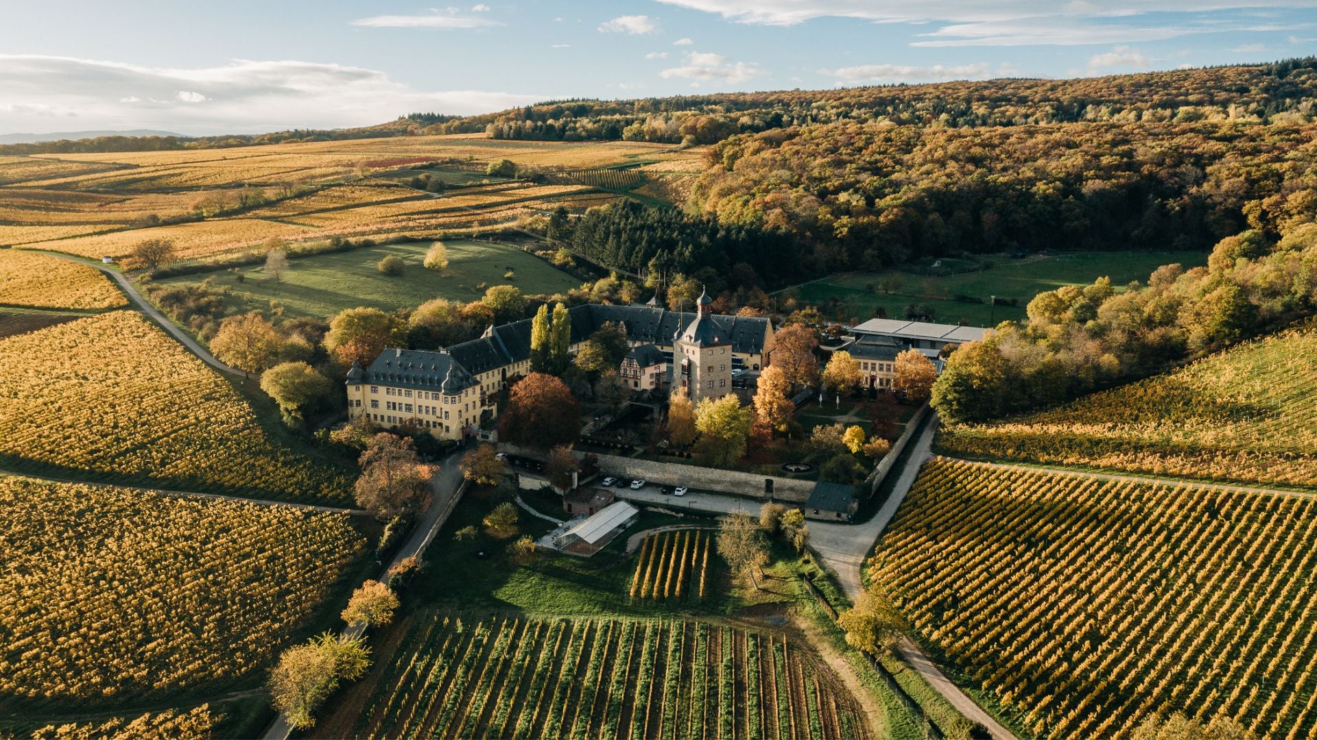 Tolle Weine